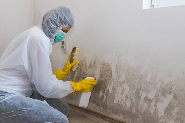 Forensic Mold Investigation in Ceres, CA