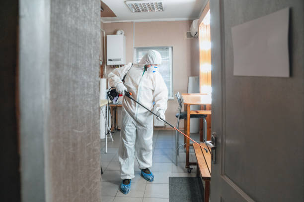 Ceres, CA Mold Removal Company