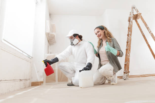 Mold Documentation for Insurance Claims in Ceres, CA