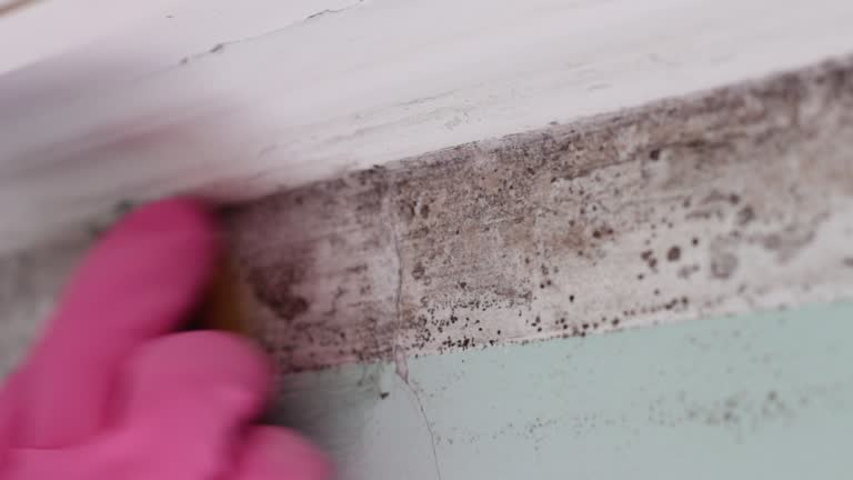 Best Mold Prevention Services  in Ceres, CA